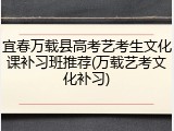 宜春万载县高考艺考生文化课补习班推荐(万载艺考文化补习)