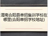 渭南合阳县单招集训学校在哪里(合阳单招学校地址)