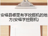 安福县哪里有学挖掘机的地方(安福学挖掘机)