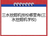 三水挖掘机技校哪里有(三水挖掘机学校)