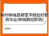 柳州柳城县哪里学数控好职高毕业(柳城数控职高)
