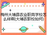 梅州大埔县农业职高学校怎么样啊(大埔农职校如何)