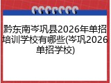 黔东南岑巩县2026年单招培训学校有哪些(岑巩2026单招学校)