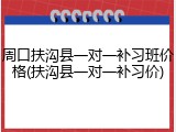 周口扶沟县一对一补习班价格(扶沟县一对一补习价)