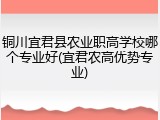 铜川宜君县农业职高学校哪个专业好(宜君农高优势专业)