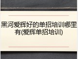 黑河爱辉好的单招培训哪里有(爱辉单招培训)