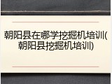 朝阳县在哪学挖掘机培训(朝阳县挖掘机培训)