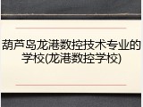 葫芦岛龙港数控技术专业的学校(龙港数控学校)