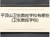 平顶山卫东数控学校有哪些(卫东数控学校)