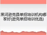 黑河逊克县单招培训机构哪家好(逊克单招培训优选)