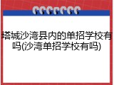 塔城沙湾县内的单招学校有吗(沙湾单招学校有吗)