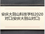 安庆大别山科技学校2020对口(安庆大别山对口)