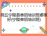 商丘宁陵县单招培训班哪家好(宁陵单招培训班)