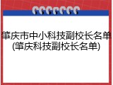 肇庆市中小科技副校长名单(肇庆科技副校长名单)