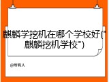 麒麟学挖机在哪个学校好("麒麟挖机学校")