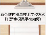 新余数控模具技术学校怎么样(新余模具学校如何)