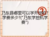 乃东县哪里可以学开挖机?学费多少?("乃东学挖机学费")