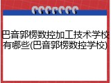 巴音郭楞数控加工技术学校有哪些(巴音郭楞数控学校)