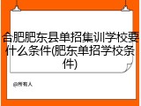 合肥肥东县单招集训学校要什么条件(肥东单招学校条件)