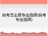 自考怎么报专业选择(自考专业选择)