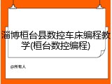 淄博桓台县数控车床编程教学(桓台数控编程)