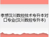 孝感汉川数控技术专升本对口专业(汉川数控专升本)