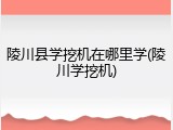 陵川县学挖机在哪里学(陵川学挖机)