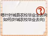 喀什叶城县农校毕业生去向如何(叶城农校毕业去向)