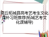 商丘柘城县高考艺考生文化课补习班推荐(柘城艺考文化课辅导)