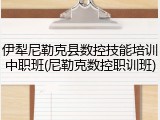 伊犁尼勒克县数控技能培训中职班(尼勒克数控职训班)