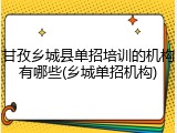 甘孜乡城县单招培训的机构有哪些(乡城单招机构)