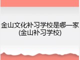 金山文化补习学校是哪一家(金山补习学校)