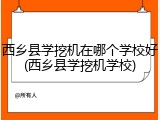 西乡县学挖机在哪个学校好(西乡县学挖机学校)