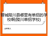 晋城陵川县哪里有单招的学校啊(陵川单招学校)