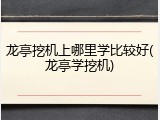龙亭挖机上哪里学比较好(龙亭学挖机)