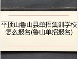 平顶山鲁山县单招集训学校怎么报名(鲁山单招报名)