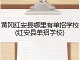 黄冈红安县哪里有单招学校(红安县单招学校)