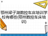 鄂州梁子湖数控车床培训学校有哪些(鄂州数控车床培训)