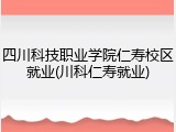 四川科技职业学院仁寿校区就业(川科仁寿就业)