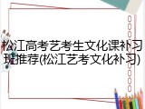 松江高考艺考生文化课补习班推荐(松江艺考文化补习)