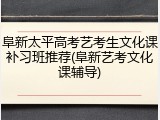 阜新太平高考艺考生文化课补习班推荐(阜新艺考文化课辅导)