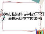 上海市临港科技学校好不好(上海临港科技学校如何)