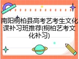 南阳桐柏县高考艺考生文化课补习班推荐(桐柏艺考文化补习)