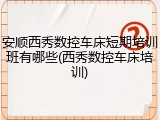 安顺西秀数控车床短期培训班有哪些(西秀数控车床培训)
