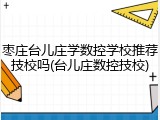 枣庄台儿庄学数控学校推荐技校吗(台儿庄数控技校)