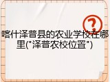 喀什泽普县的农业学校在哪里("泽普农校位置")
