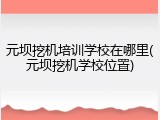 元坝挖机培训学校在哪里(元坝挖机学校位置)