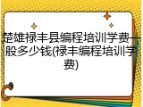 楚雄禄丰县编程培训学费一般多少钱(禄丰编程培训学费)