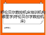 呼伦贝尔数控机床培训机构哪里学(呼伦贝尔学数控机床)