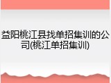 益阳桃江县找单招集训的公司(桃江单招集训)